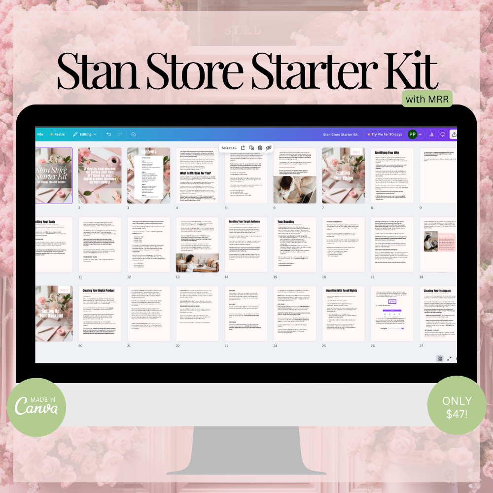 Stan Store Starter Kit Canva Images